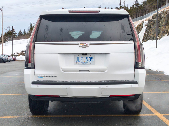 2019 Cadillac Escalade Premium Luxury in Cars & Trucks in St. John's - Image 4