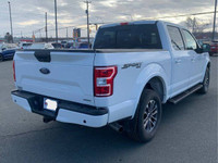 Come see this certified 2019 Ford F-150 XLTCrew 4X4 | 3.5L EcoBoost | Sport | Heated Bucket Seats |... (image 3)