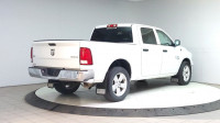 Remote Start, 3.6L Engine, Bluetooth, Cruise Control, Towing Package, Rear Vision Camera! Check out... (image 4)