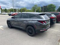 Come visit our London Honda team, you can find us at 560 Wharncliffe Rd S, London, ON, N6J 2N4, or c... (image 3)