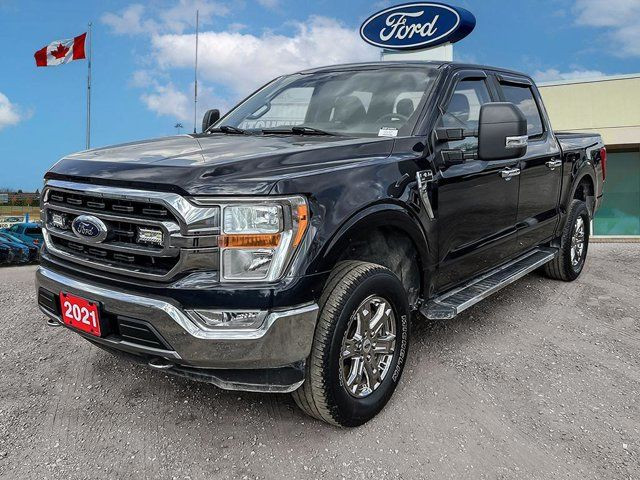 2021 Ford F-150 XLT in Cars & Trucks in Kitchener / Waterloo - Image 2