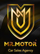 Mr.Motor