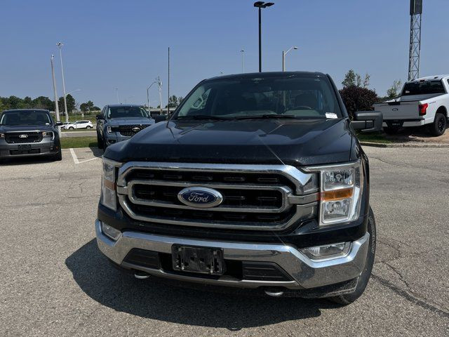 2021 Ford F-150 XLT in Cars & Trucks in Kitchener / Waterloo - Image 4