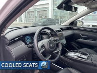 Fast Charging, Sunroof, Cooled Seats, Leather Seats, Apple CarPlay! Highways, byways, urban sprawls,... (image 1)