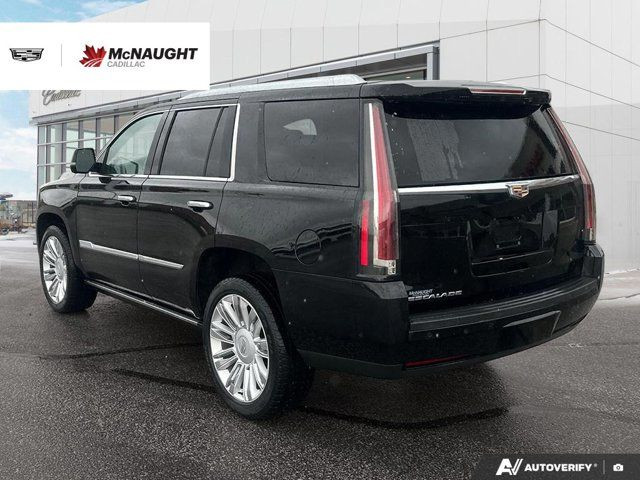 2019 Cadillac Escalade Platinum 6.2L AWD | Heads Up Display in Cars & Trucks in Winnipeg - Image 3