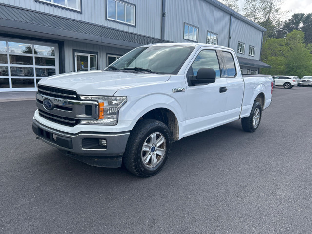 2019 Ford F-150 XLT BACKUP CAM! CARFAX CLEAN! in Cars & Trucks in Annapolis Valley - Image 2