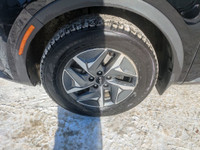 Back-Up Camera, Bluetooth Connection, Steering Assist Driver, Fog Lamps, HD Radio, Heated Mirrors, H... (image 9)