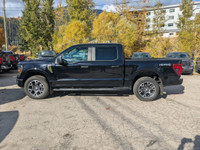 Mobile Office Package, Engine Block Heater, Integrated Trailer Brake Control, Curve Control, FordPas... (image 7)