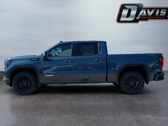 2025 GMC Sierra 1500 in Cars & Trucks in Hamilton - Image 2