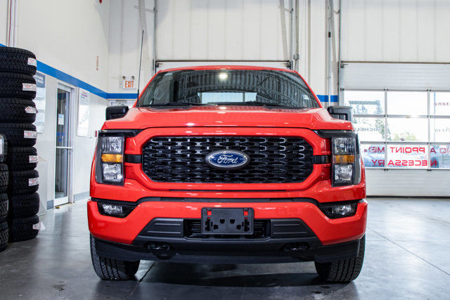  2023 Ford F-150 XL in Cars & Trucks in Winnipeg - Image 2