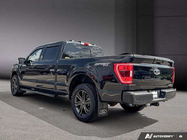 2021 Ford F-150 XLT| 3.5L EcoBoost | Equipment Group 302A | XLT in Cars & Trucks in Cambridge - Image 3