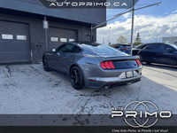 2021 Ford Mustang EcoBoost Premium Fastback RWD Automatique avec Sièges en Cuir Navigation GPS Carpl... (image 6)