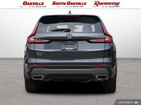 2025 Honda CR-V Hybrid EX-L Meteorite Gray Metallic 2.0L 16V DOHC CVT Call us at (905) 845-4211 toda... (image 4)