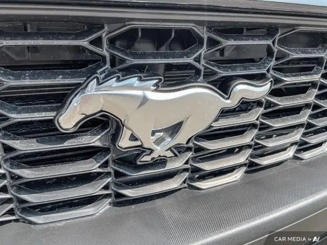2025 Ford Mustang EcoBoost in Cars & Trucks in Brandon - Image 32