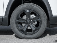 Sport Edition- Black Wheels | Black Emblems | Black Mirror Caps | Roof Rails | Heated Steering Wheel... (image 3)