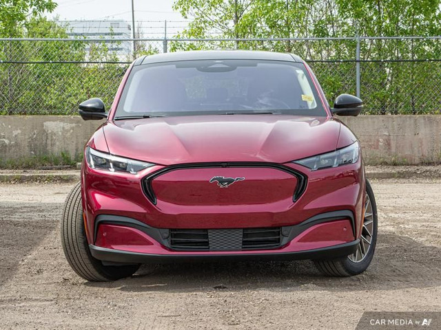 2025 Ford Mustang Mach-E Premium AWD in Cars & Trucks in Edmonton - Image 2