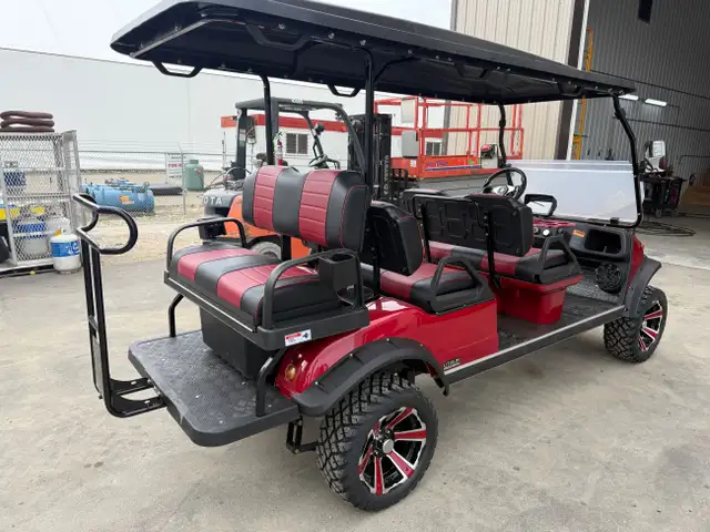 2025 HDK Golf Cart FORESTER 6+ RED in ATVs in St. Albert - Image 5