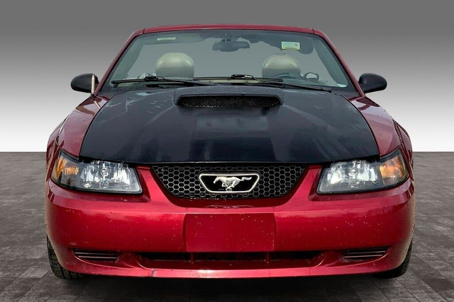 2003 Ford Mustang 2DR CONV in Cars & Trucks in Edmonton - Image 3