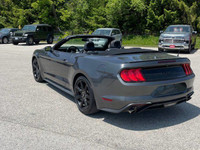 Look at this certified 2018 Ford Mustang EcoBoost Premium Leather | Cooled + Heated Seats | Nav | Bl... (image 4)