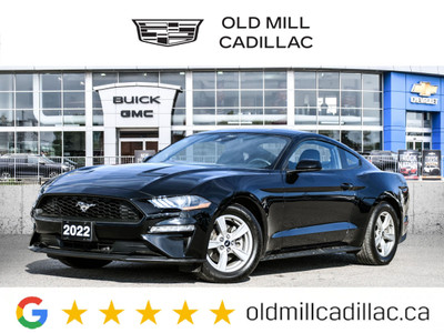 2022 Ford Mustang EcoBoost CLEAN CARFAX