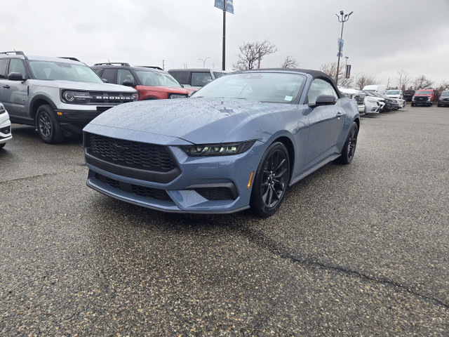 2025 Ford Mustang ECOBOOST PREMIUM | NITE PONY PKG | CO-PILOT360 in Cars & Trucks in Calgary - Image 3