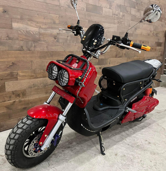 2022 Daymak EAGLE DELUXE in Scooters & Pocket Bikes in Lanaudière - Image 2