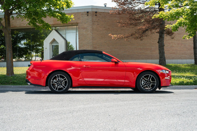 2023 Ford Mustang Ecoboost Premium Convertible in Cars & Trucks in Mississauga / Peel Region - Image 4