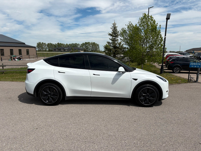 2023 Tesla Model Y Long Range AWD Hail Special in Cars & Trucks in Calgary