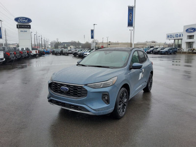  2024 Ford Escape ST-Line Elite