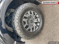 Engine: Gas V6 3.5L EcoBoost L/100Km City: 13.5 L/100Km Hwy: 10.2 Safety Equipment ABS And Driveline... (image 8)