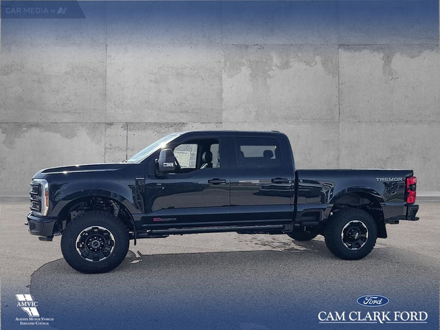 2025 Ford F-350 Platinum in Cars & Trucks in Red Deer - Image 4