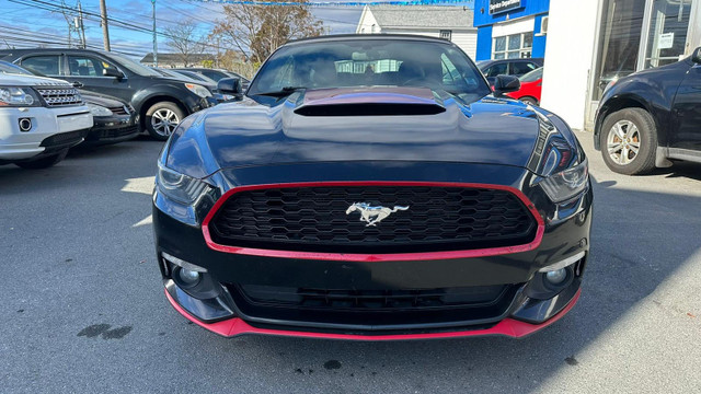 2015 Ford Mustang EcoBoost Premium | Pirelli Tires | New MVI in Cars & Trucks in Dartmouth - Image 2