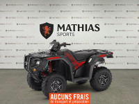2024 HONDA Rubicon DCT IRS EPS Deluxe