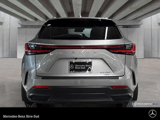 2024 Lexus NX 250 in Cars & Trucks in Longueuil / South Shore - Image 5