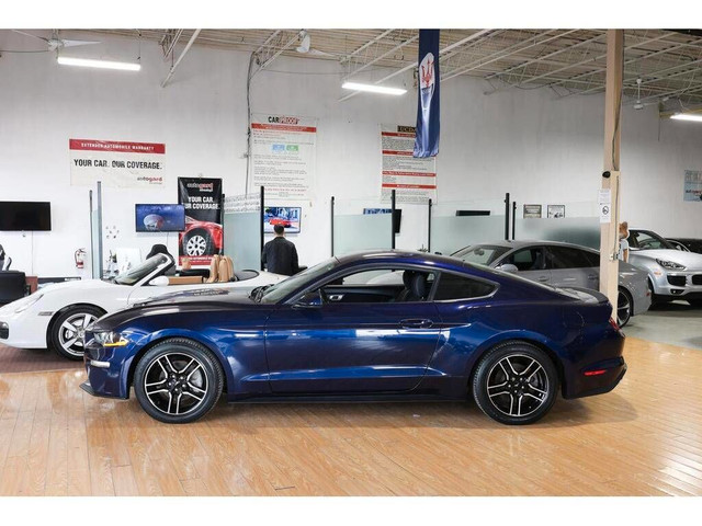 2018 Ford Mustang EcoBoost M/T - NO ACCIDENT|CAMERA|PUSH START in Cars & Trucks in City of Toronto - Image 3