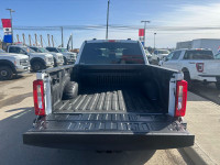 2023 Ford Super Duty F-250 SRW XLT 4WD Crew Cab 6.75' Box, Back-Up Camera, Block Heater, Brake Contr... (image 6)