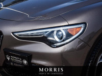 Come see all this and more at the Alfa Romeo of Winnipeg dealership, in the Waverley AutoMall. Deale... (image 5)