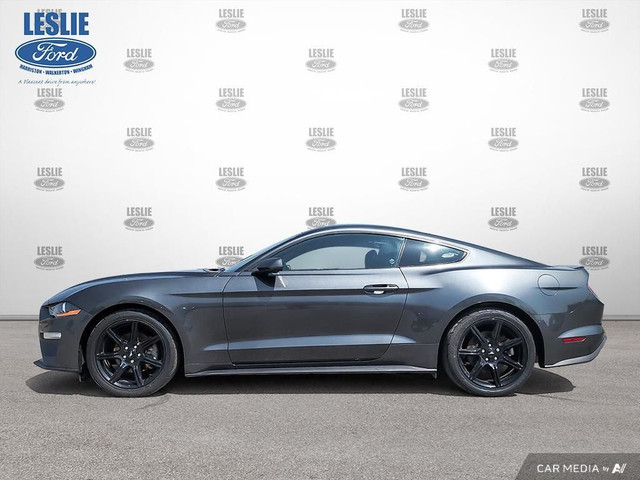 2019 Ford Mustang EcoBoost Fastback in Cars & Trucks in Stratford - Image 4