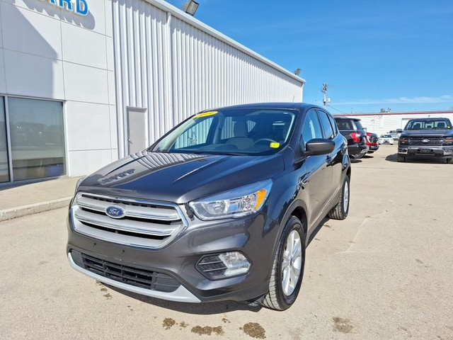 2019 Ford Escape SE - Heated Seats - Android Auto in Cars & Trucks in Portage la Prairie - Image 3