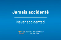 Economique et Pratique / Aucun Accident / Pneus Hiver Inclus / Titanium Hybrid / Cuir / Camera Recul... (image 3)