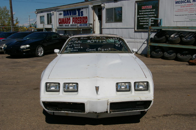 1980 Trans Am Turbo Special Edition T-Top Y84 in Classic Cars in Edmonton - Image 2