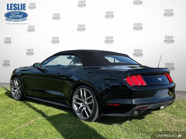 2015 Ford Mustang 2DR CONV ECOBOOST PREMIUM in Cars & Trucks in Stratford - Image 4