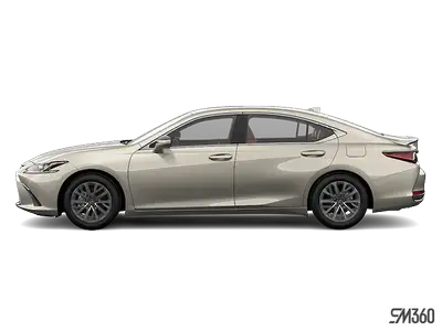 GARNISSAGE DES SIÈGES EN PALOMINO|GROUPE PREMIUM|04X8 BEIGE LUNAIRE METALLISE Engine: 4 Cylinder Eng...