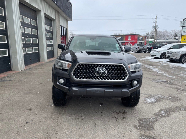 2019 Toyota Tacoma in Cars & Trucks in Ottawa - Image 3