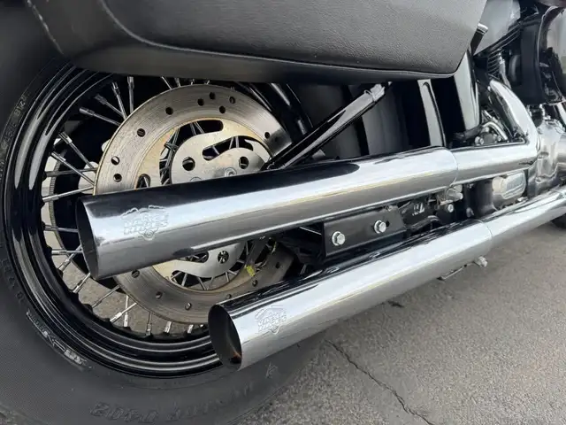 2017 HARLEY DAVIDSON SOFTAIL in Street, Cruisers & Choppers in Winnipeg - Image 5