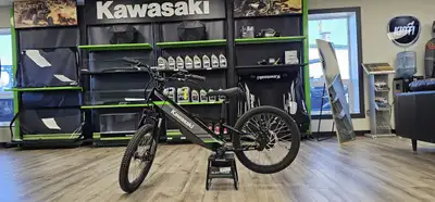 ELECTRIC MOTOR The 2025 Elektrode 20 provides fun and exciting power output for quick and aggressive...