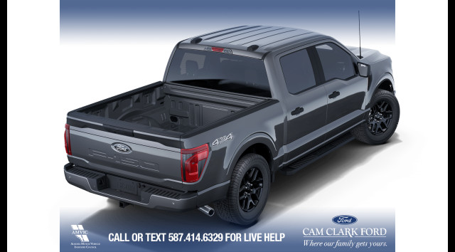 2025 Ford F-150 STX in Cars & Trucks in Calgary - Image 4