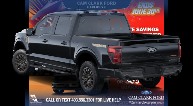 2025 Ford F-150 Tremor in Cars & Trucks in Red Deer - Image 2