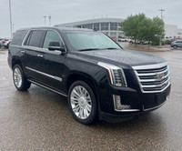 Check out this vehicle's pictures, features, options and specs, and let us know if you have any ques... (image 6)