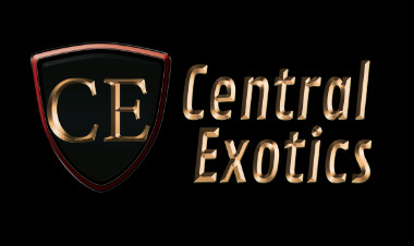 Central Exotics Auto Sales